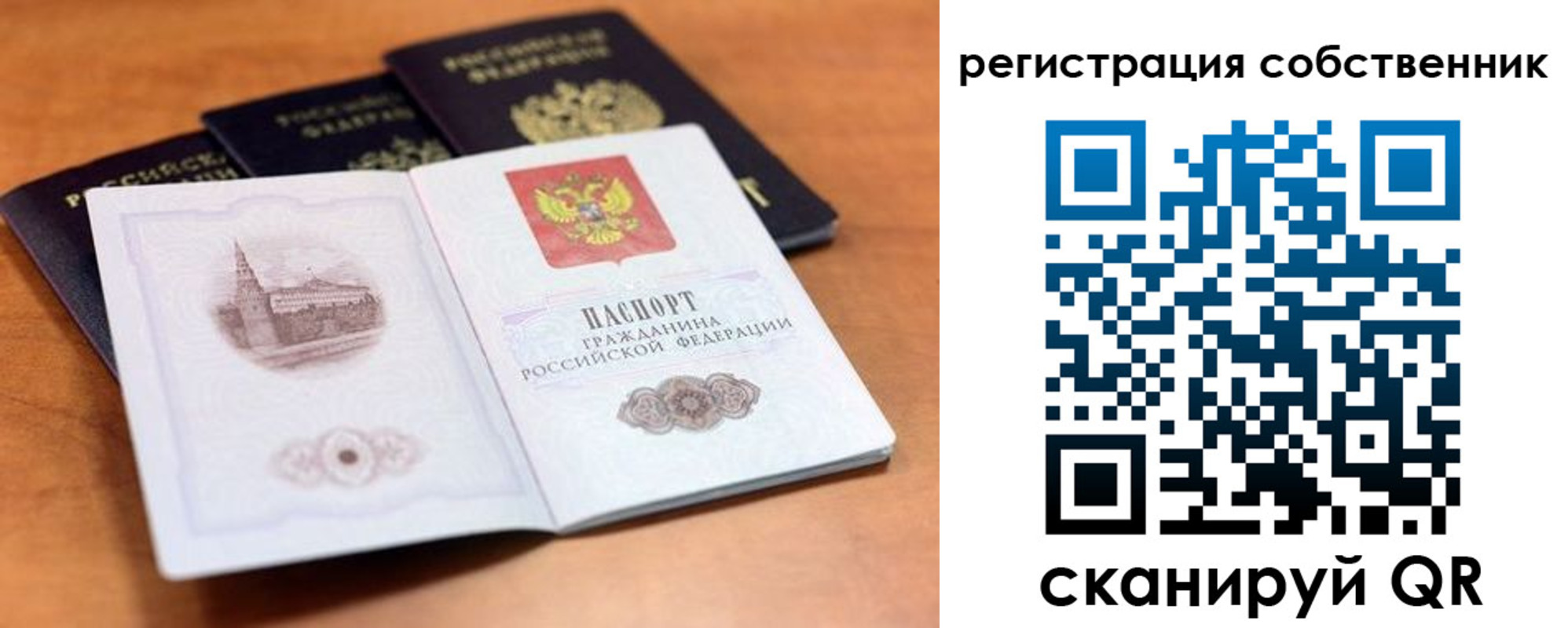 временная регистрация 2025 в Курской области